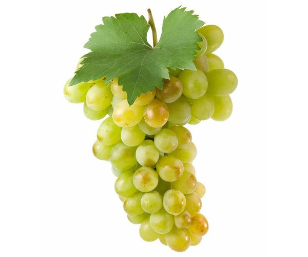 Виноград зеленый, кг